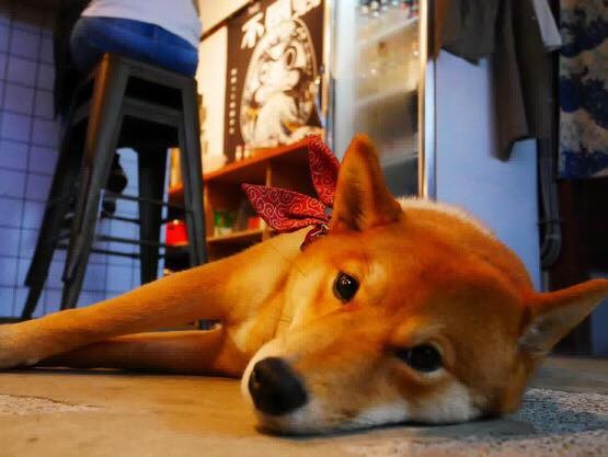 斗。宅商社Café & Bar 官網