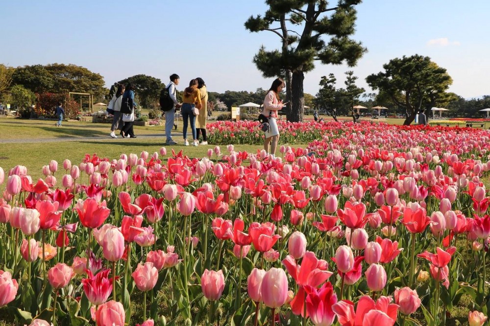 海の中道海浜公園 Uminonakamichi Seaside Park@FB