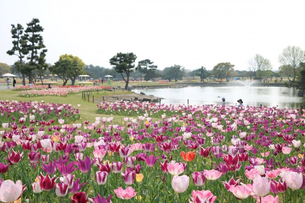 海の中道海浜公園 Uminonakamichi Seaside Park@FB
