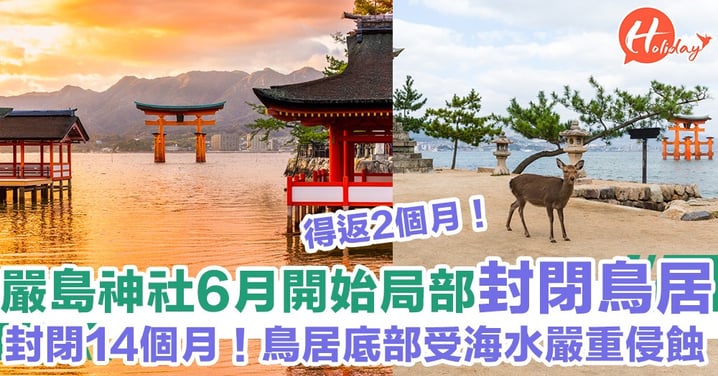 廣島嚴島神社鳥居6月開始維修  封閉1年2個月！鳥居底部嚴重損毀 把握時間去啦