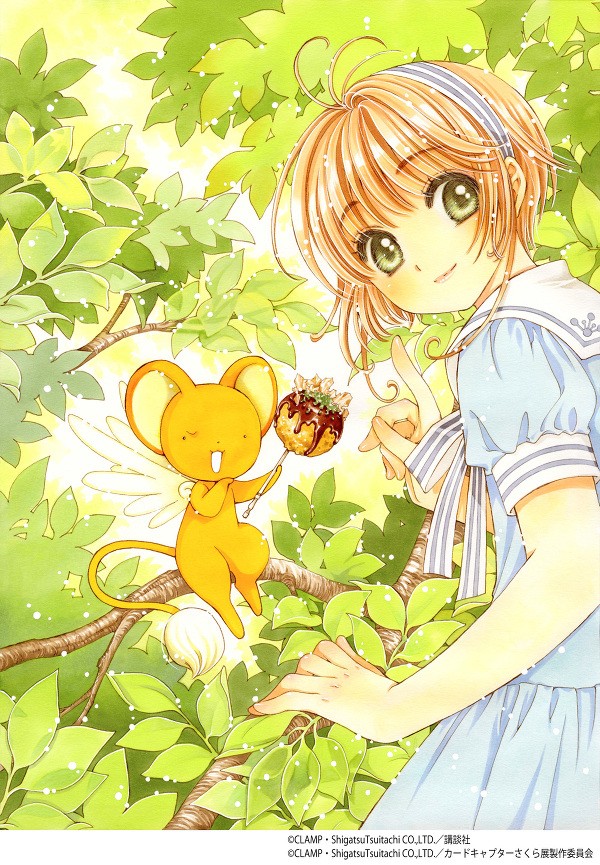 ccsakura 官網