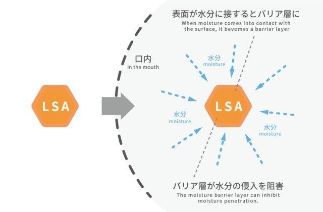 TRINUS官方網站