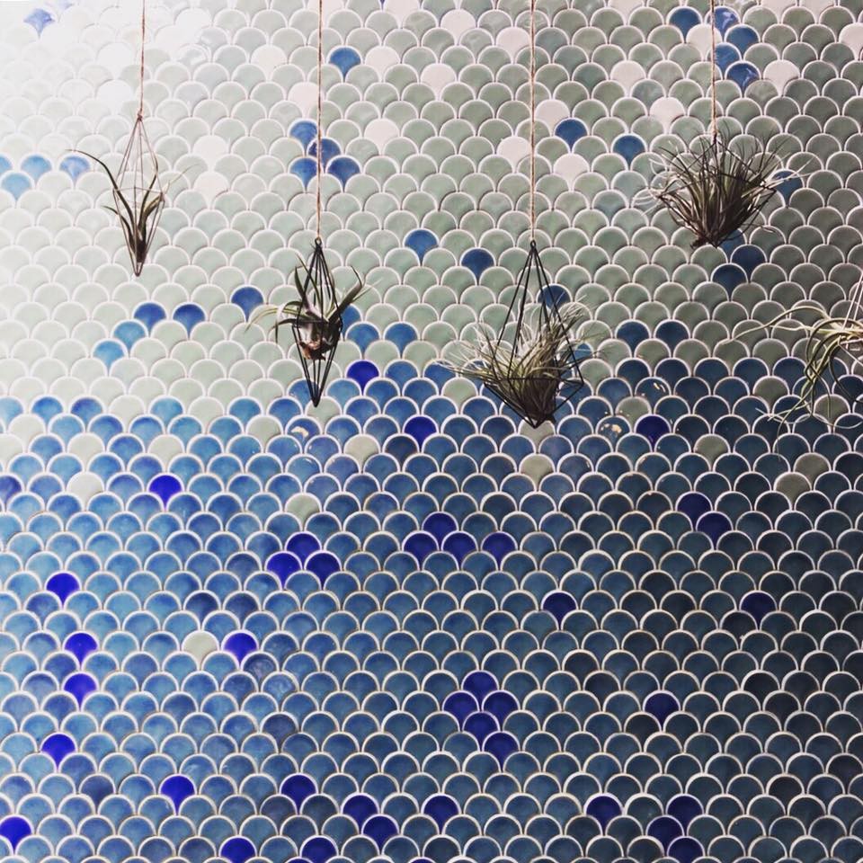 Blue Whale Maharaj-Wat Pho.@Facebook