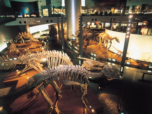 image-fukui_prefectural_dinosaur_museum-02