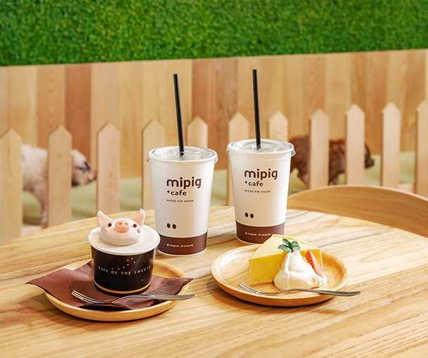 Mipig Cafe
