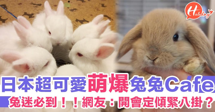 兔迷必到！日本萌爆兔子Cafe 再壞嘅心情都可以得到治癒