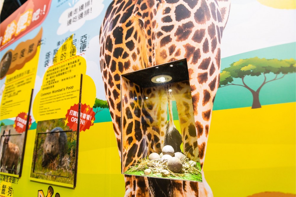 變變變!Move 生物體驗展.香港站