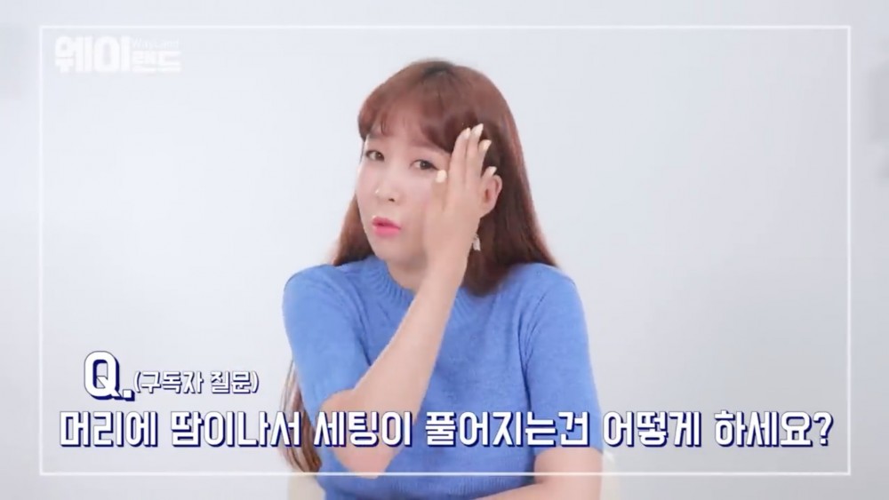 웨이랜드 WayLand@YouTube