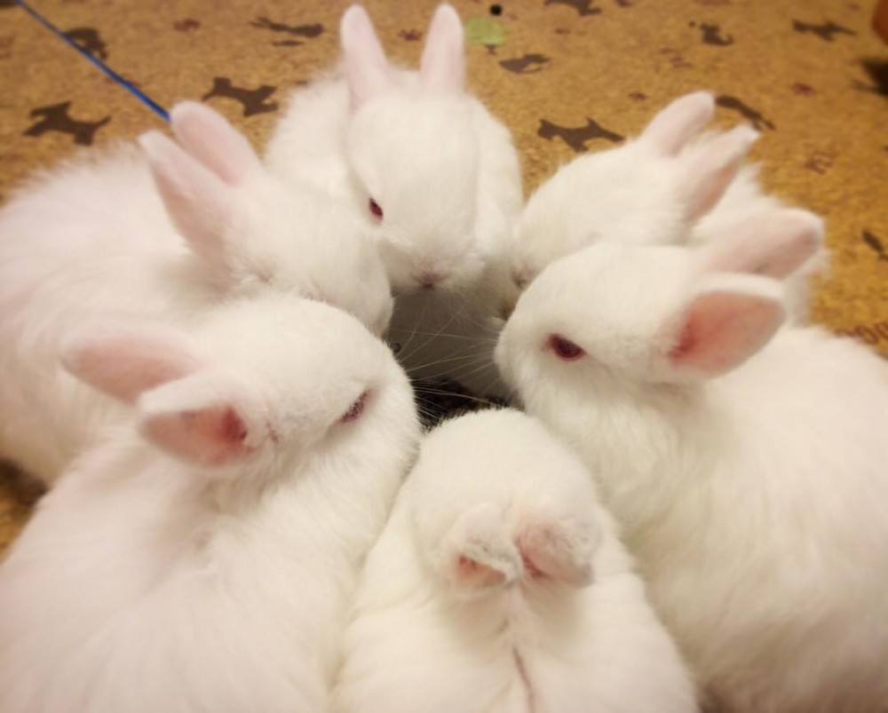 カフェ・ミニヨン@IG