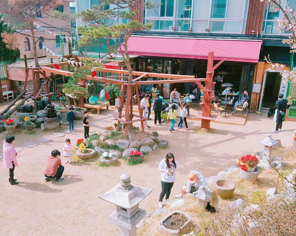 고양이정원