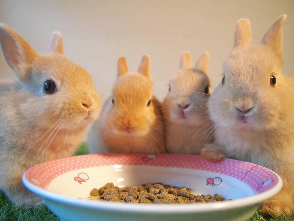 カフェ・ミニヨン@IG