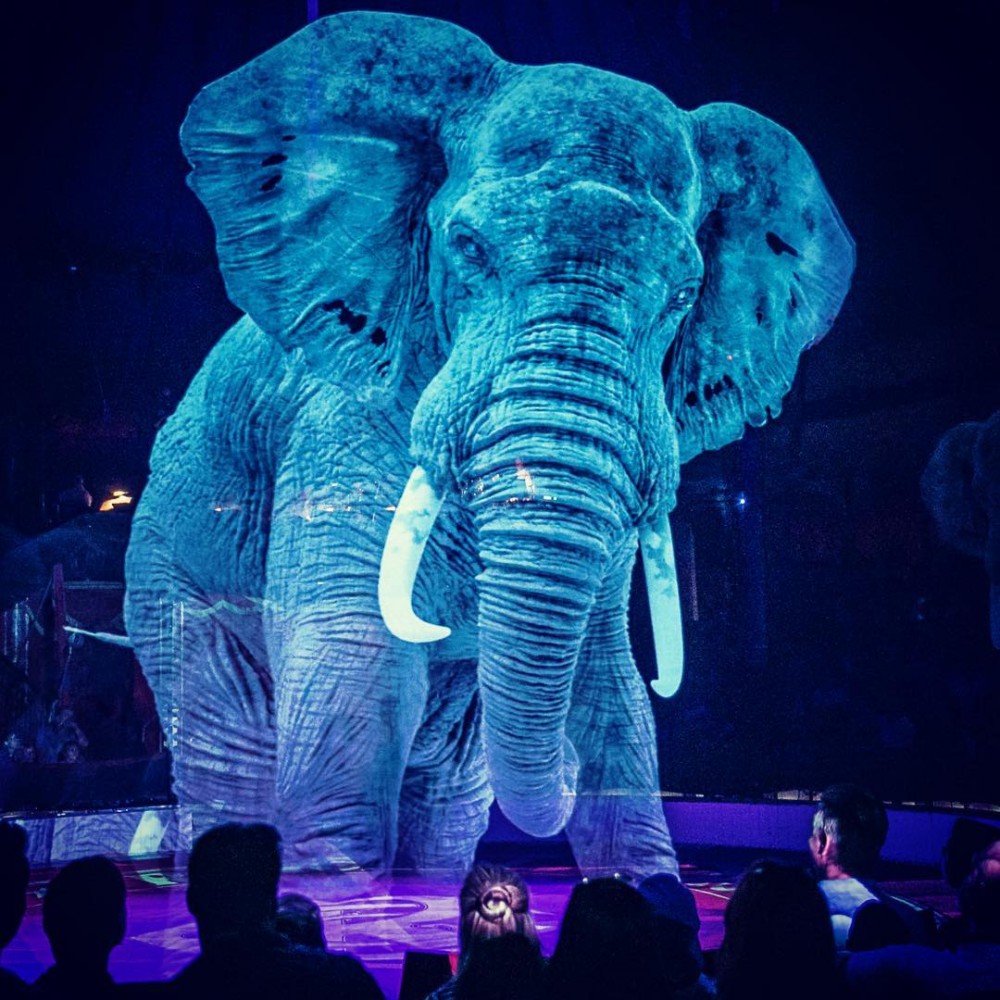 Circus Roncallli Facebook