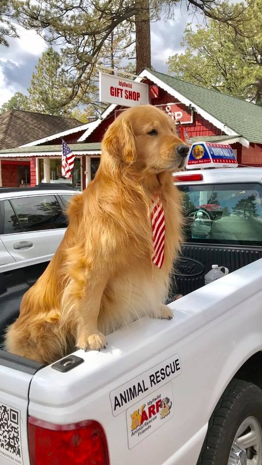 Mayor Max Facebook