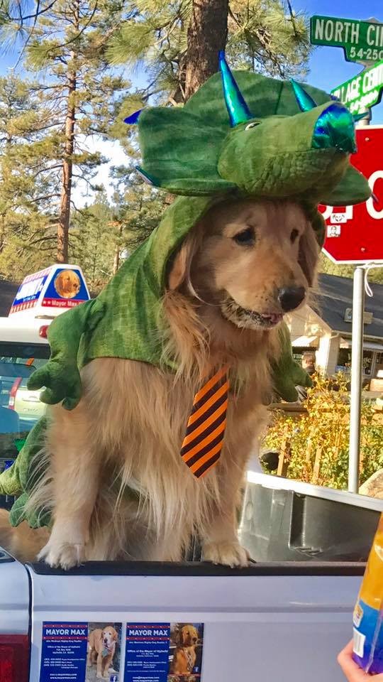Mayor Max Facebook