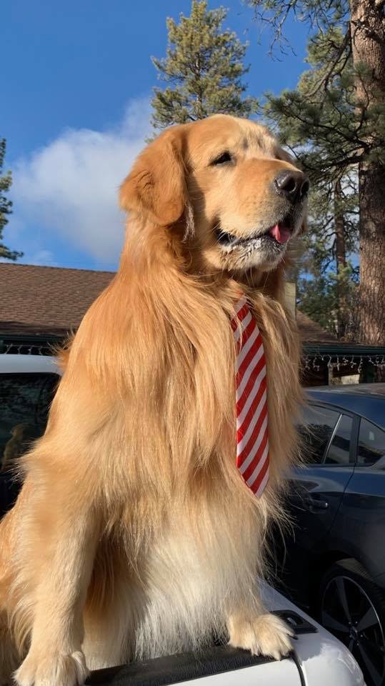 Mayor Max Facebook