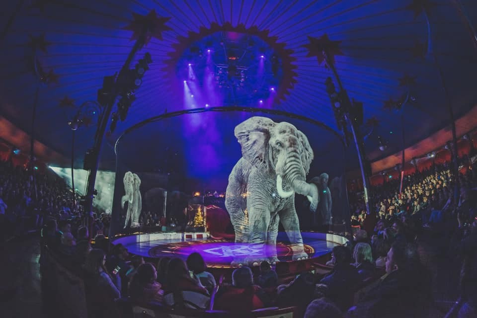 Circus Roncallli Facebook