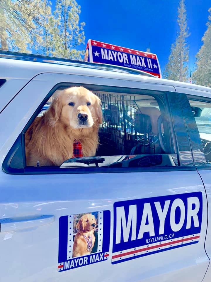 Mayor Max Facebook