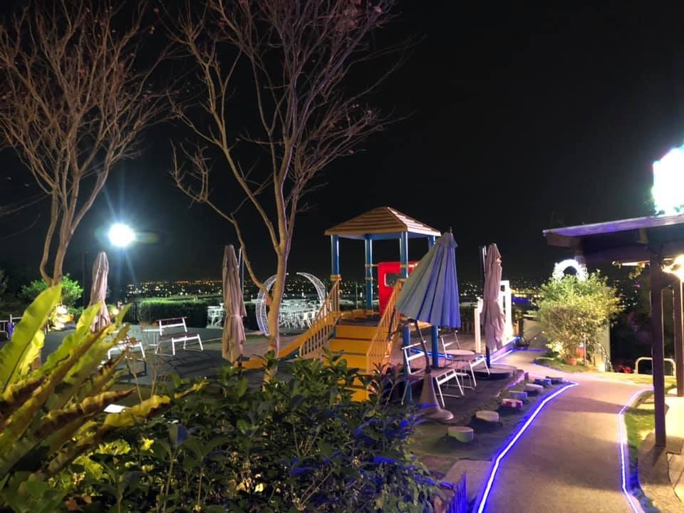 極光森林 Aurora Forest