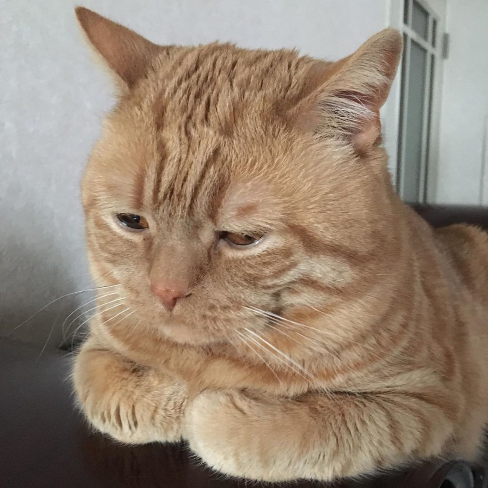 Instagram @kiko11232015授權使用