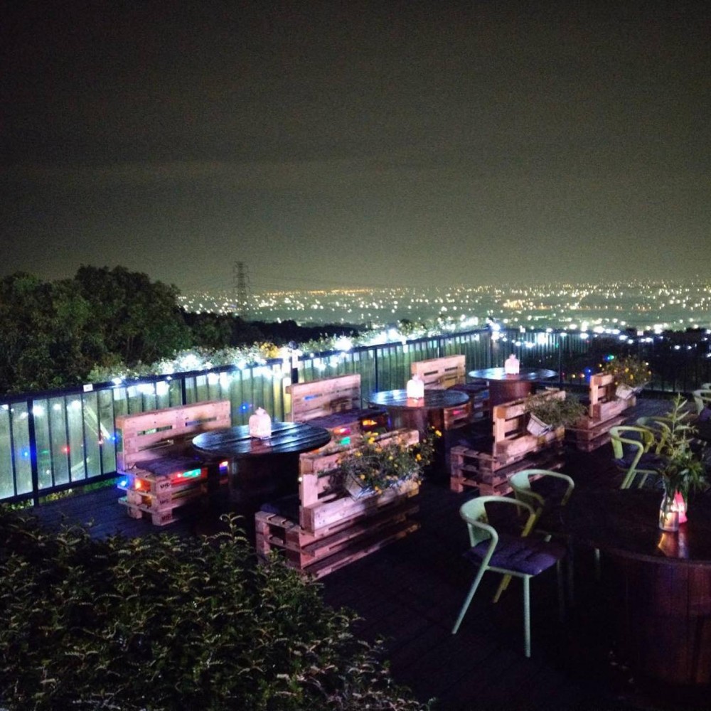 極光森林 Aurora Forest