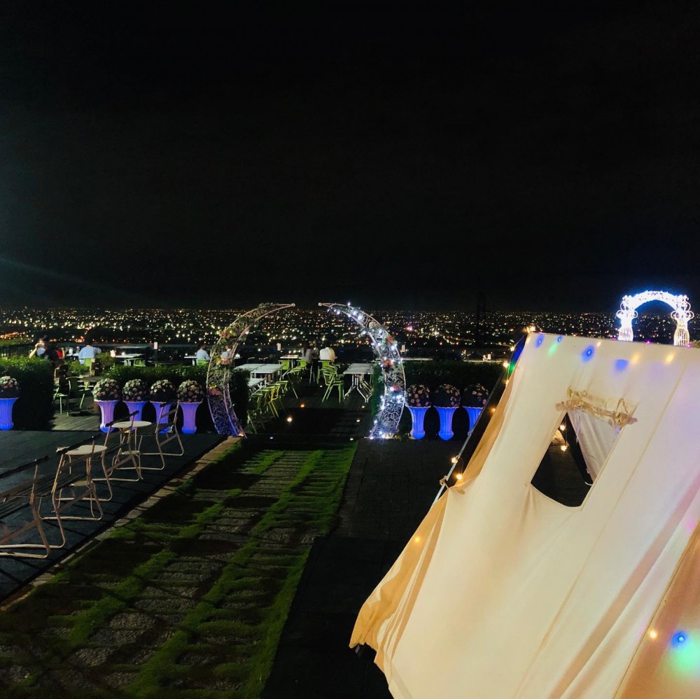 極光森林 Aurora Forest