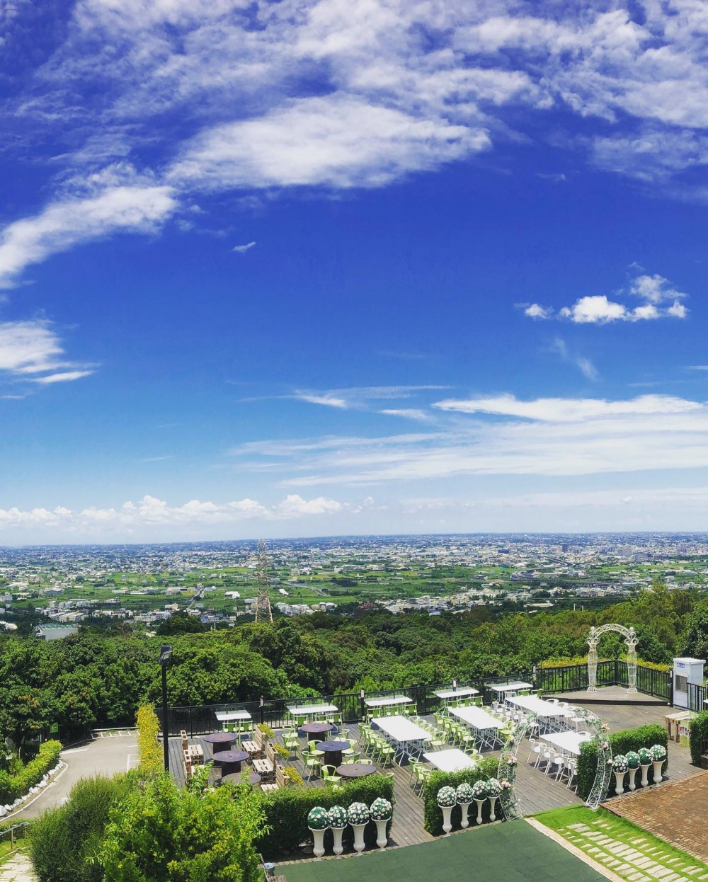 極光森林 Aurora Forest