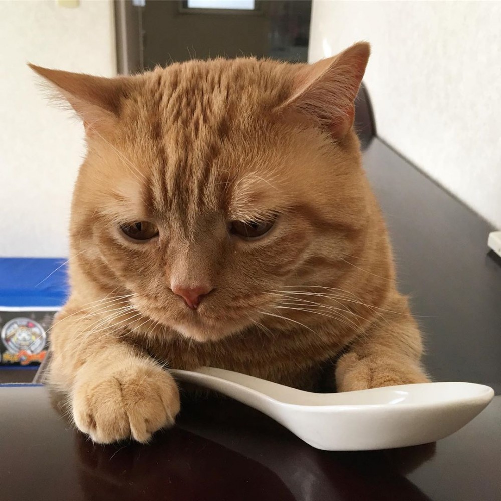 Instagram @kiko11232015授權使用