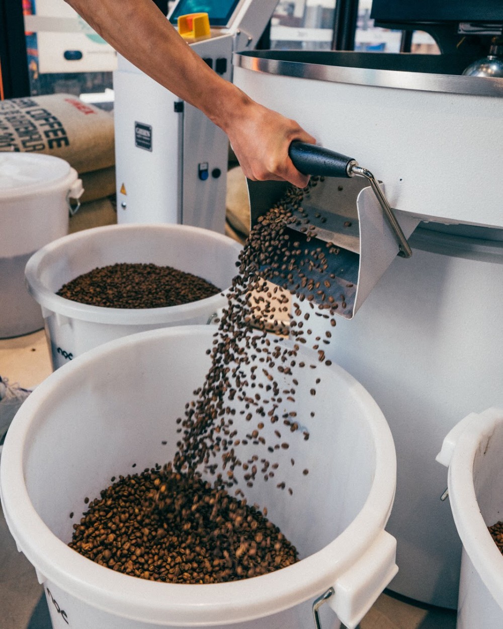 NOC Coffee Co.