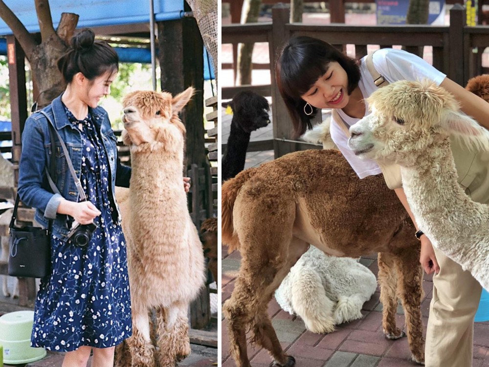IG: lcyrai, lee7huei 授權使用
