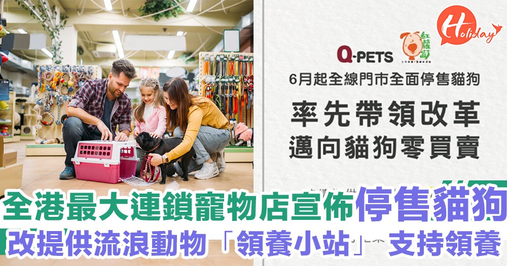 全港最大連鎖寵物店宣佈停售貓狗！改為提供流浪動物「領養小站」 支持領養