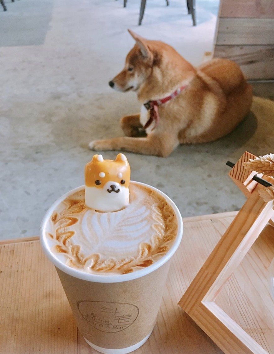 IG: gallery_for_foodie 授權使用