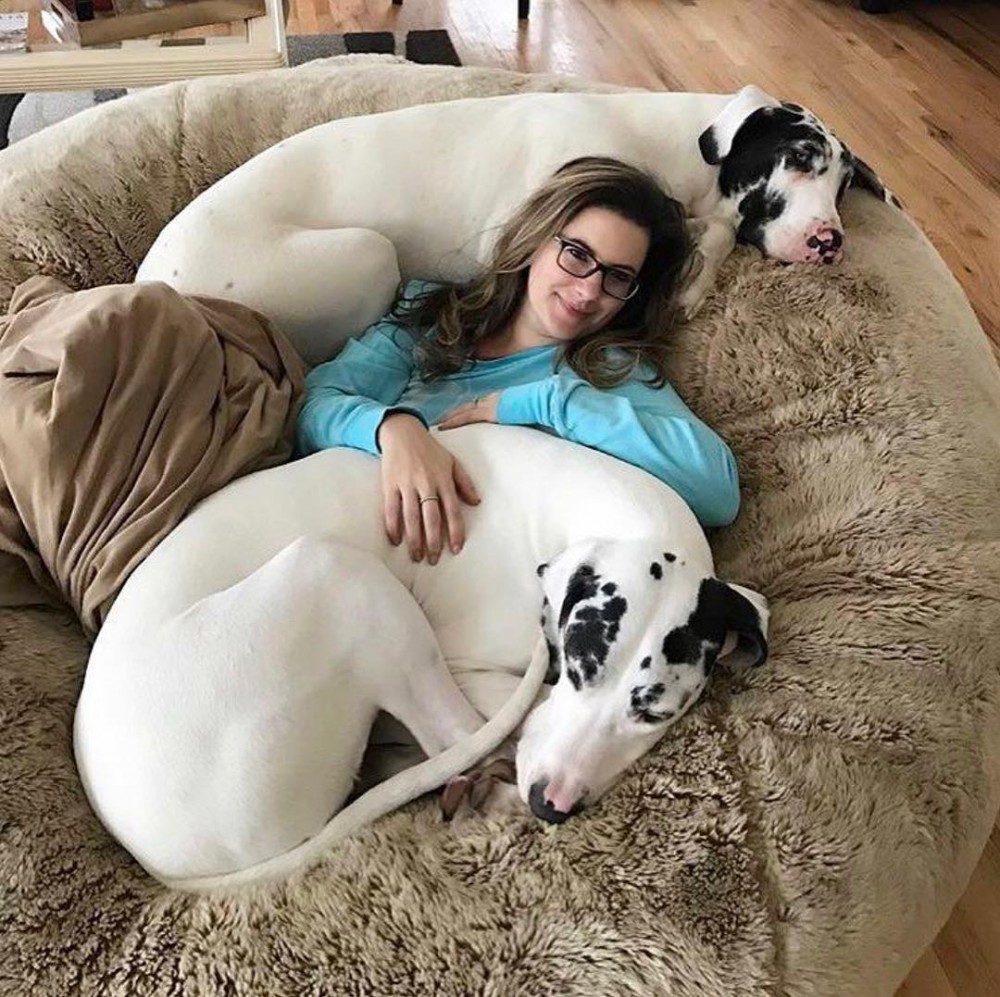 Lovesac