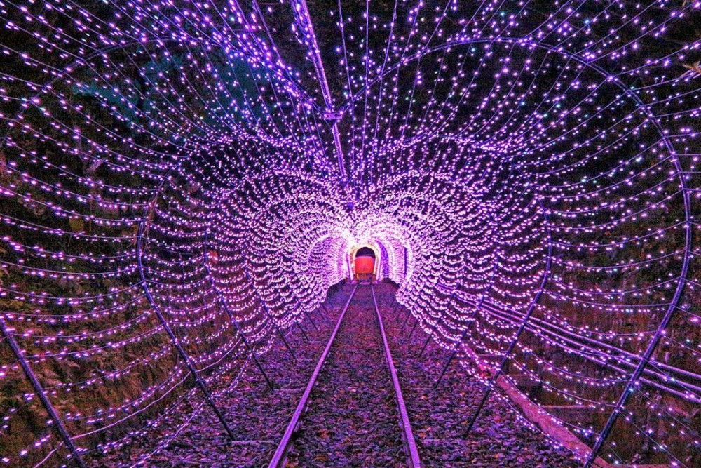 IG@lazyfoodie66 授權使用