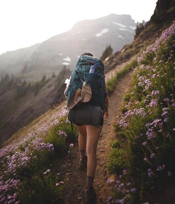 Pinterest