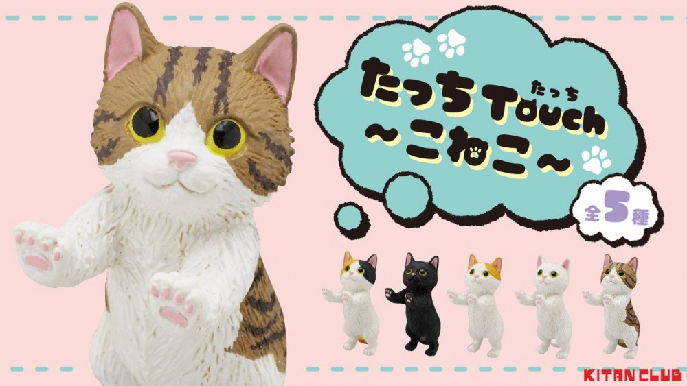 キタンクラブ公式 @twitter