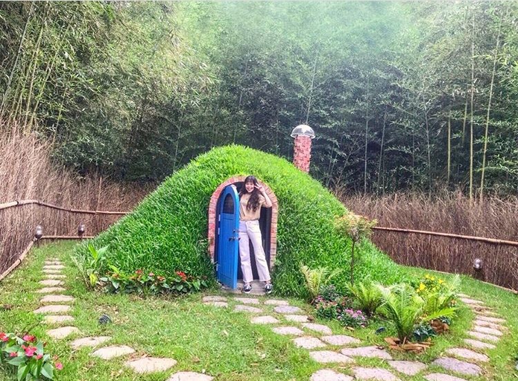 IG: yayi_0828 授權使用
