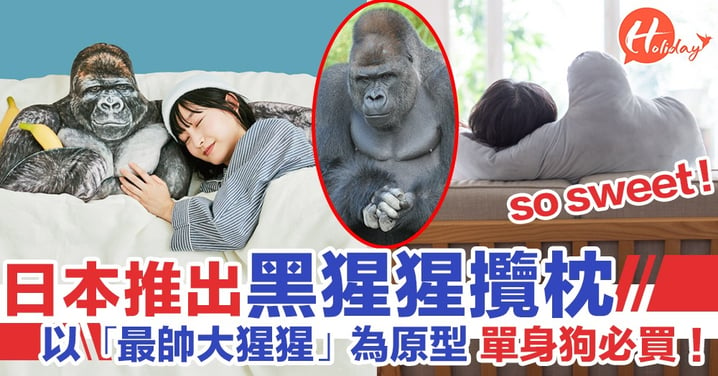 超有安全感！日本推出黑猩猩攬枕 以高人氣「最帥大猩猩」夏巴尼為原型