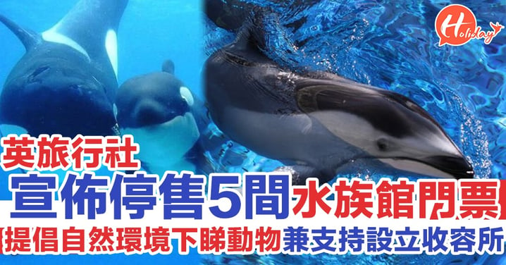 提倡自然環境下睇動物 英旅行社宣佈停售困養鯨魚/海豚水族館門票