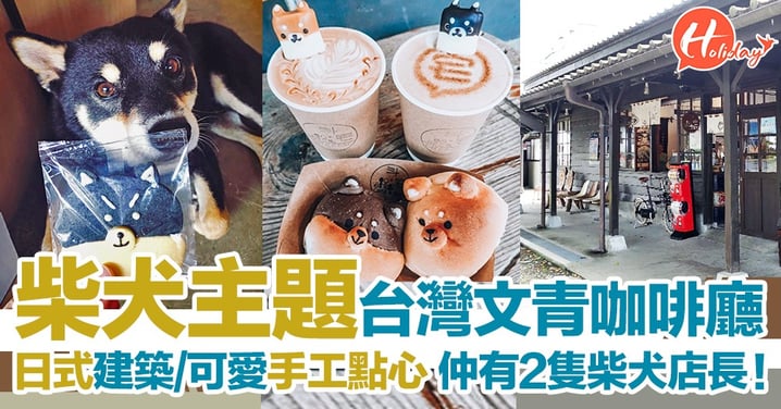台灣柴犬主題文青咖啡廳 日式建築/可愛手工小點心 仲有兩隻柴犬店長！