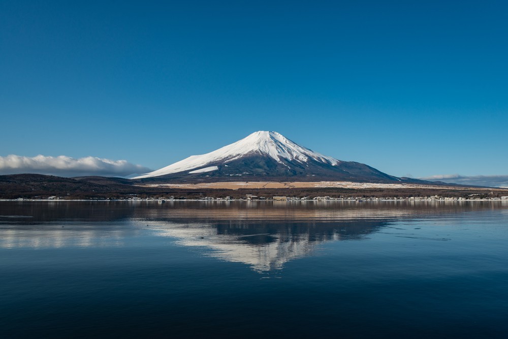 shutterstock_491549125