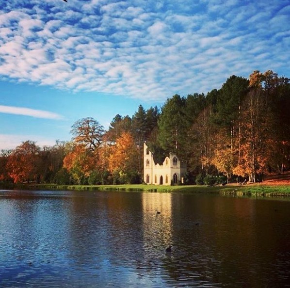 painshill@IG