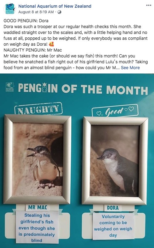 National Aquarium of New Zealand @FB