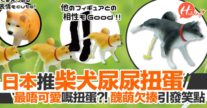 最唔可愛嘅柴犬周邊？！日本推柴犬尿尿扭蛋〜「醜萌」欠揍引發笑點！