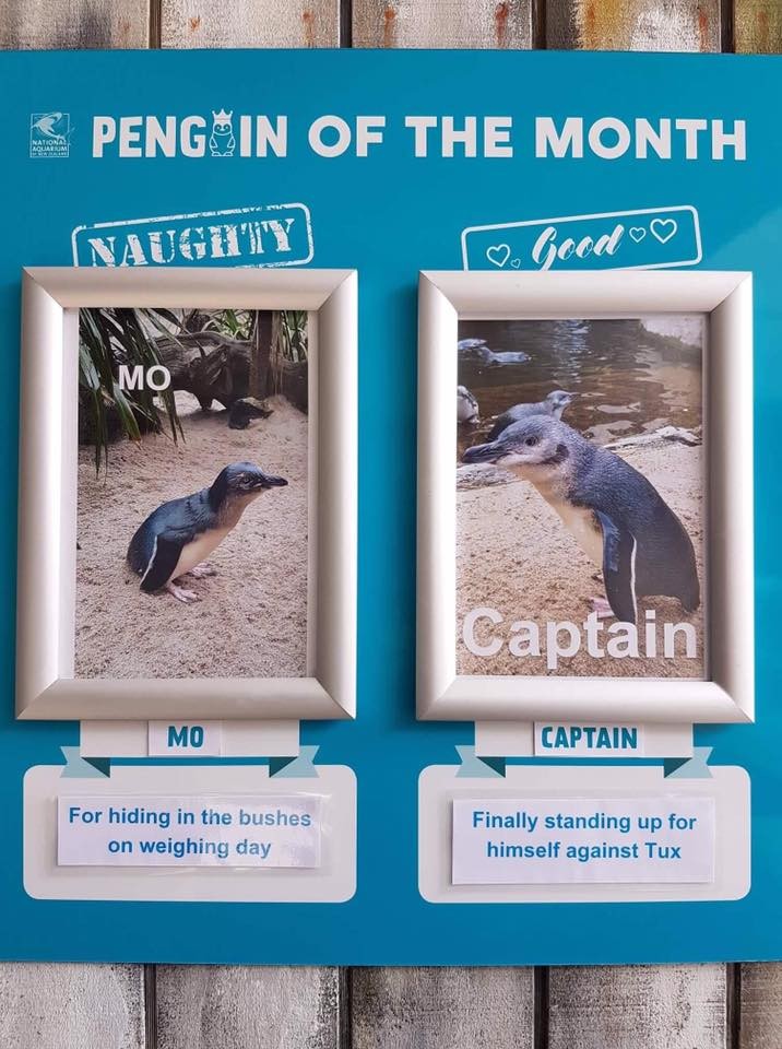 National Aquarium of New Zealand @FB