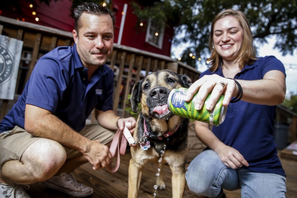 Good Boy Dog Beer