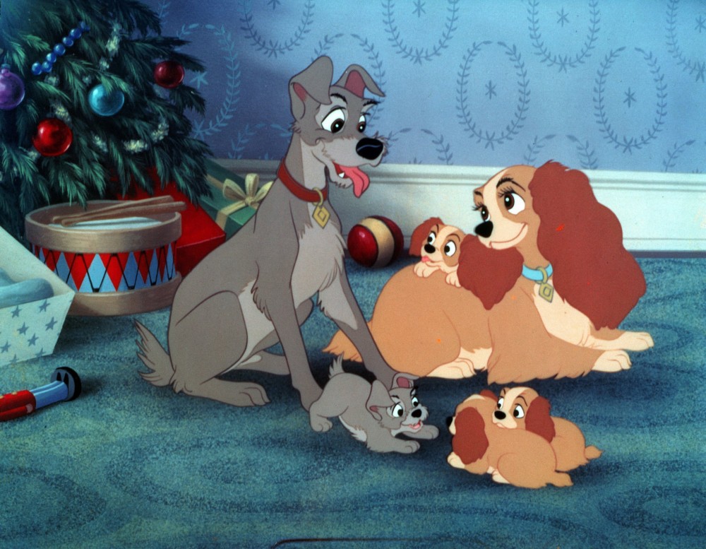 Lady and The Tramp