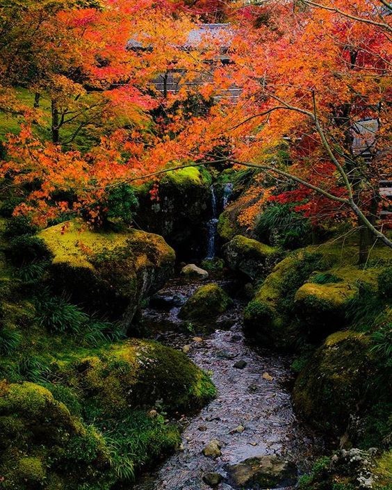 箱根湯本溫泉