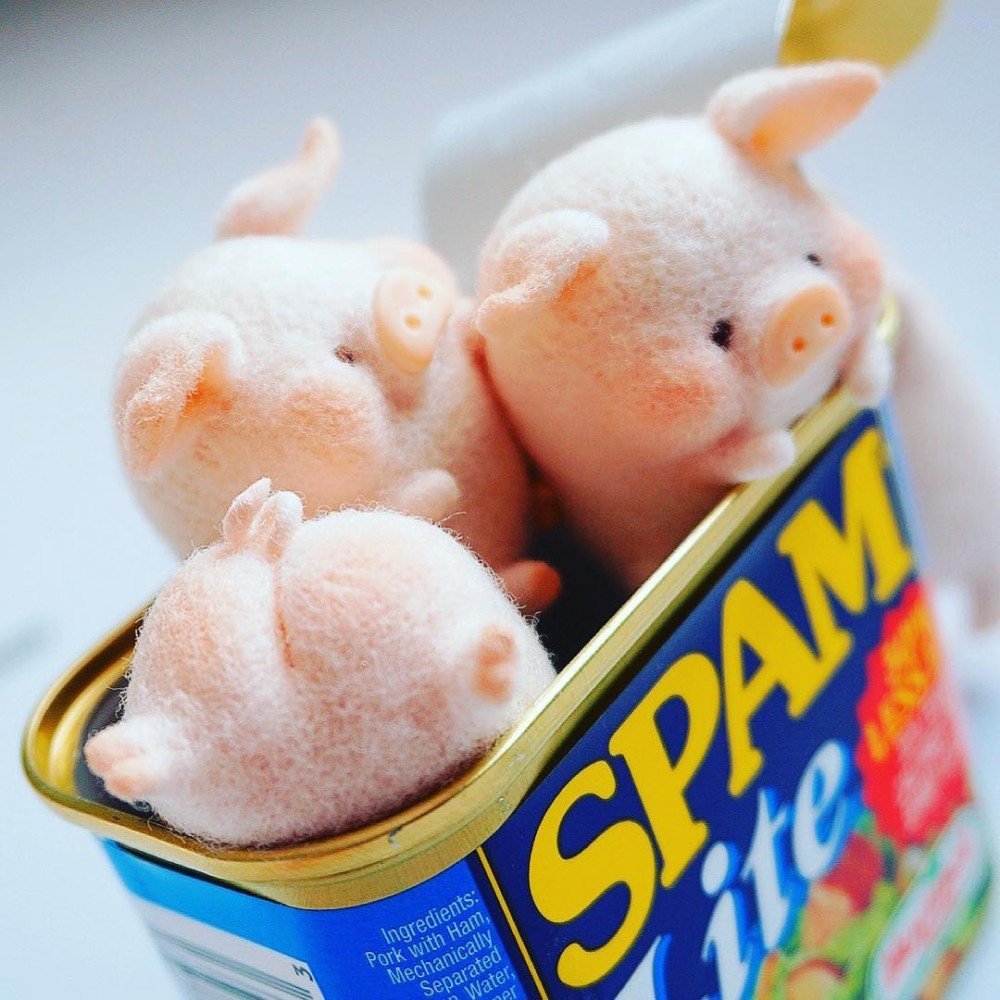 TOYZEROPLUS