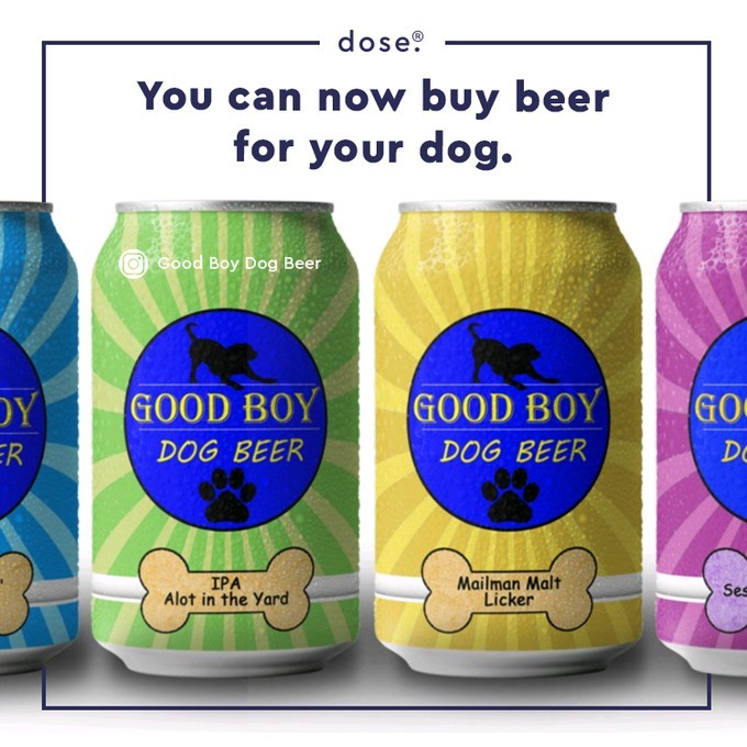 Good Boy Dog Beer