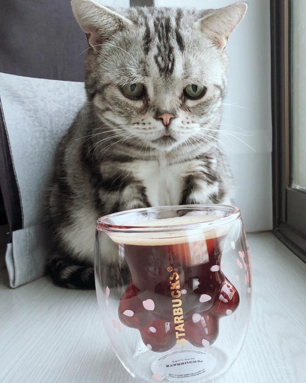 Instagram @lanlan731授權使用